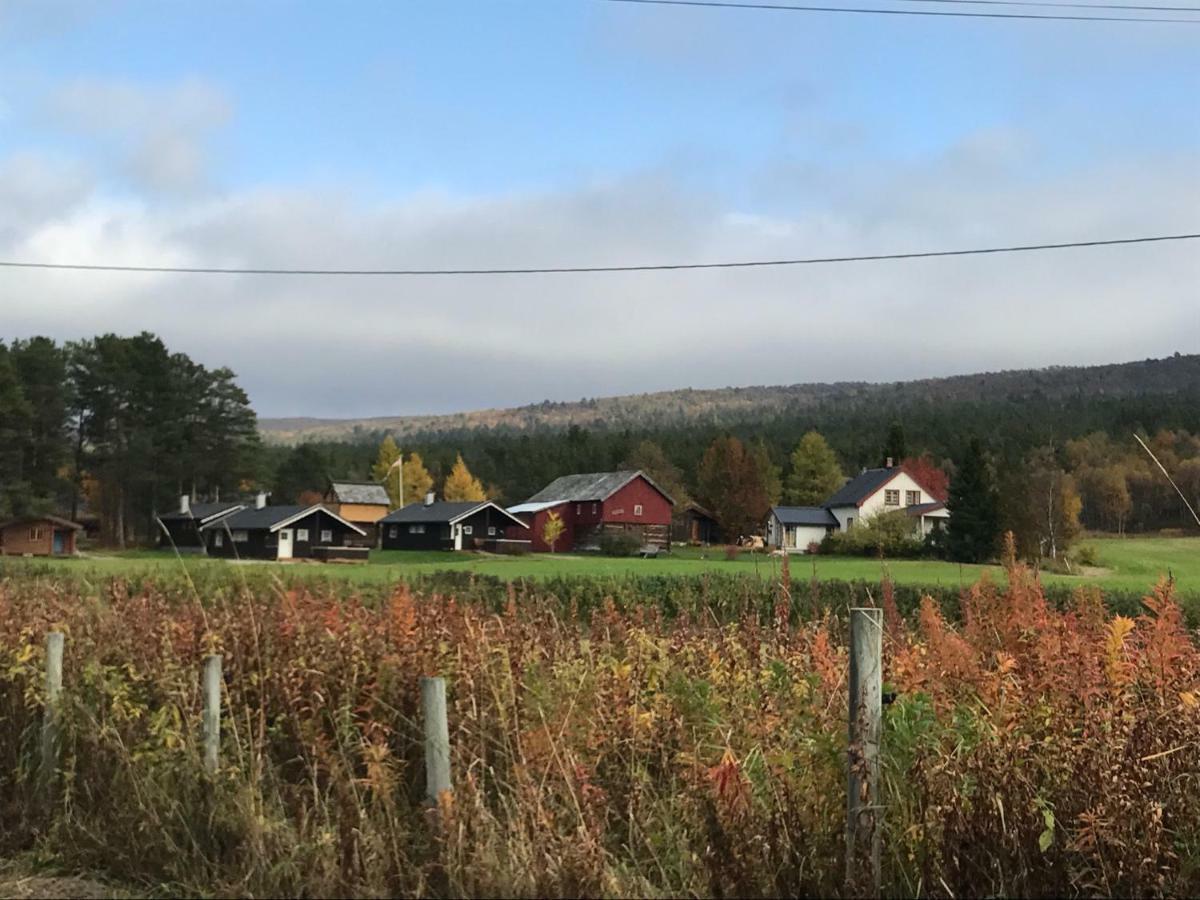 Roste Hyttetun Og Camping Os (Hedmark) Exterior foto