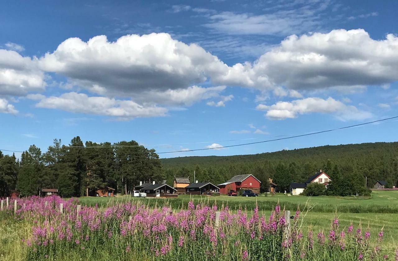 Roste Hyttetun Og Camping Os (Hedmark) Exterior foto